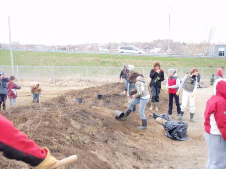 Plantation
