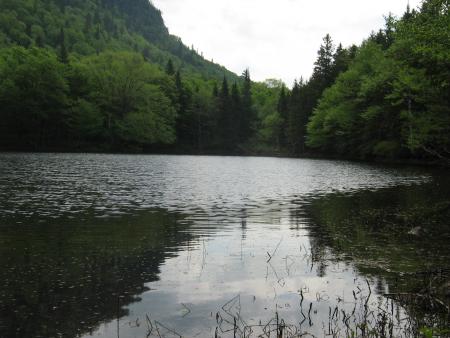 Un p'tit lac plein de huards